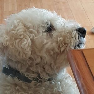 Meet your Posher, Adriana